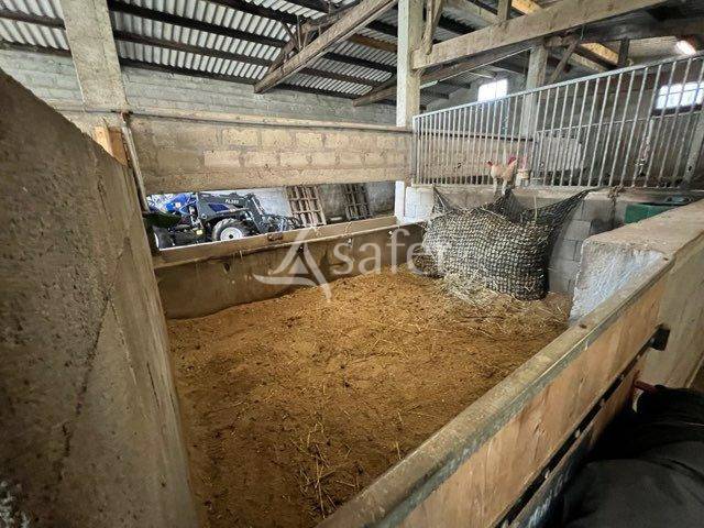 Bien rural &agrave; vocation &eacute;quine