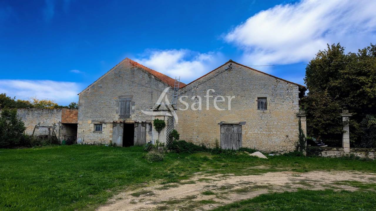 Exploitation avec Propri&eacute;t&eacute; de caract&egrave;re &agrave; r&eacute;nover sur envi