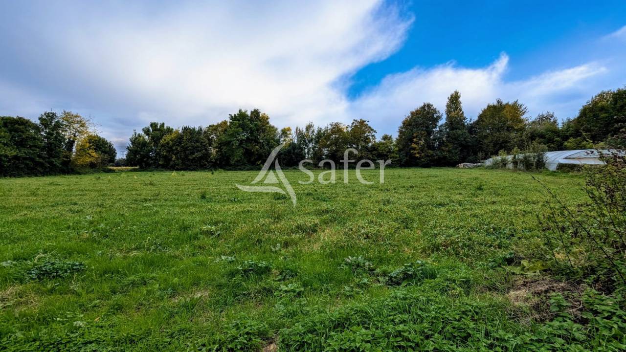 Exploitation avec Propri&eacute;t&eacute; de caract&egrave;re &agrave; r&eacute;nover sur envi