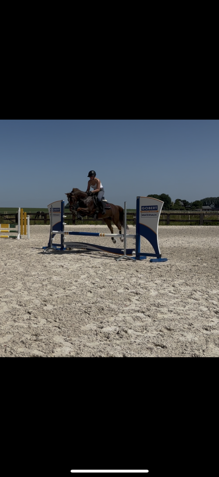 Jument &agrave; vendre 