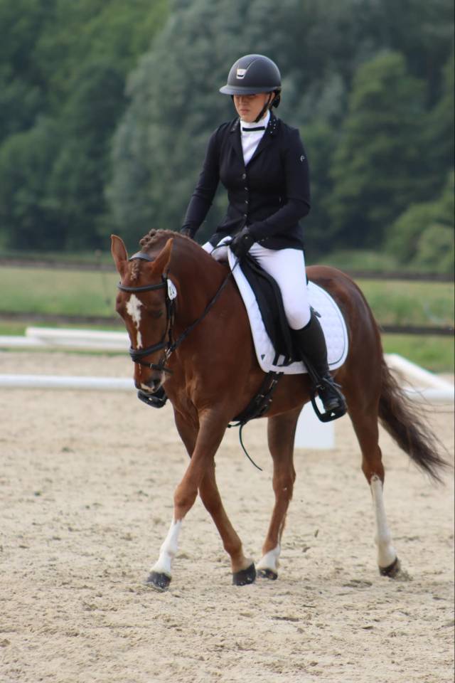 Jument &agrave; vendre 