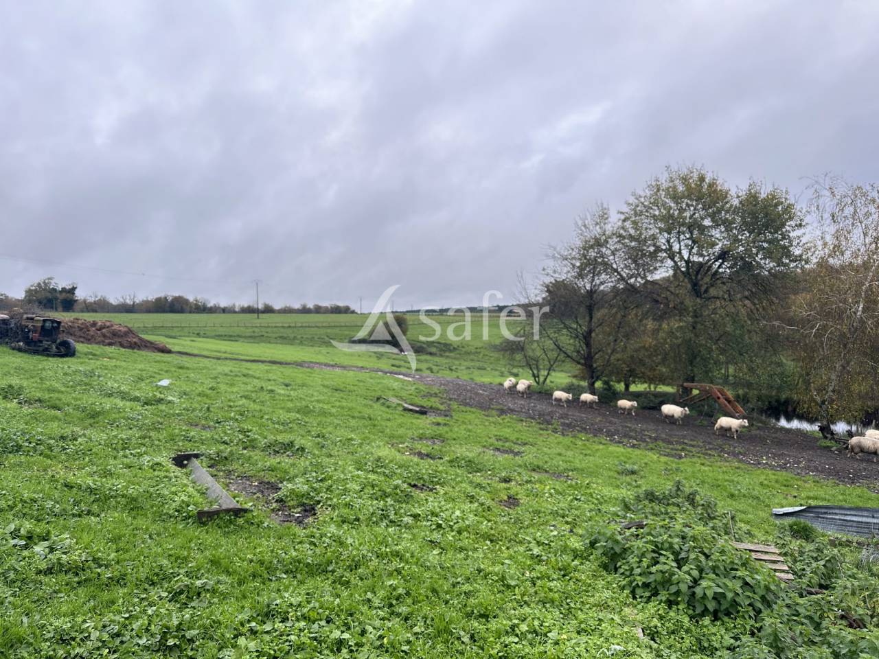 Exploitation Ovin/ Caprin 20 hectares