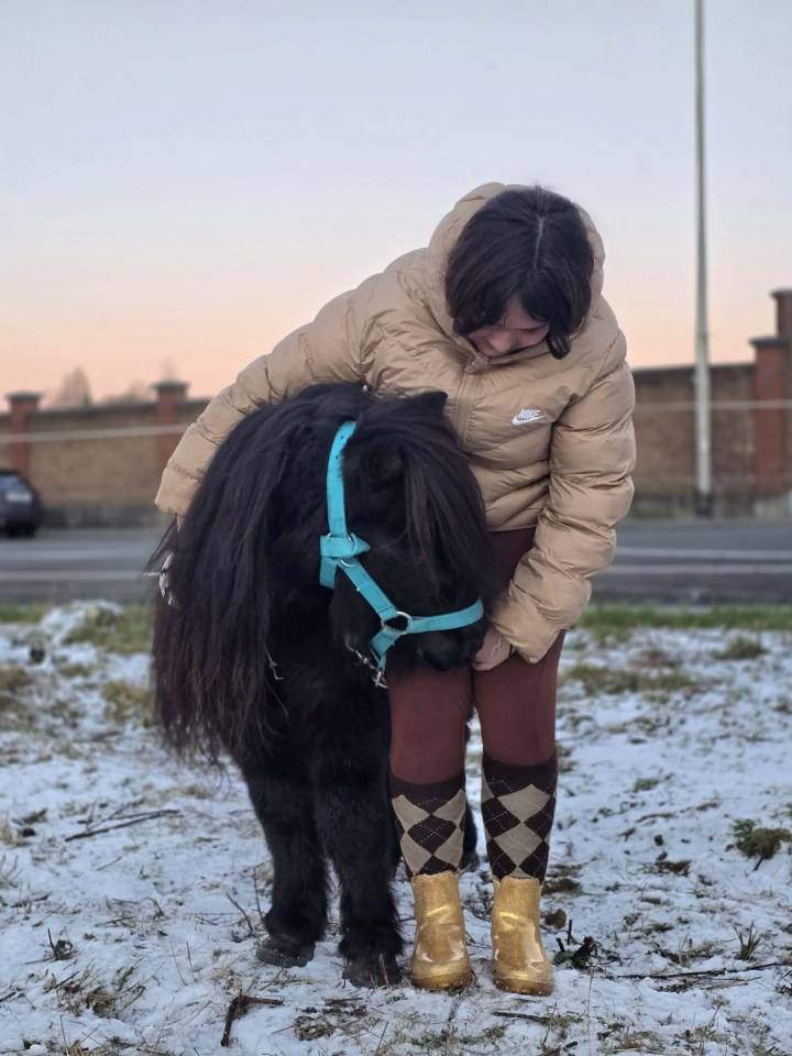 Shetland noir 6ans 85cm