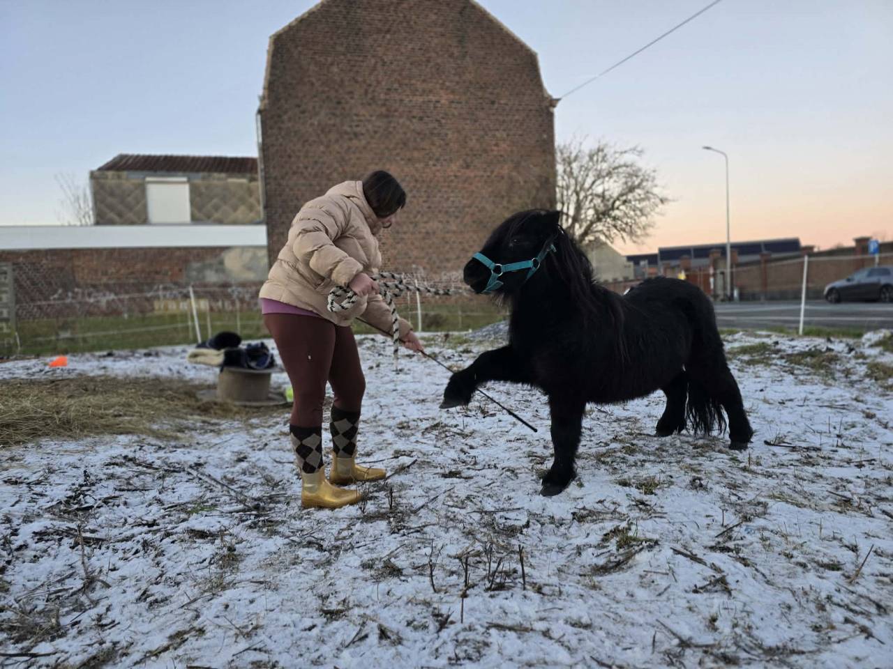 Shetland noir 6ans 85cm