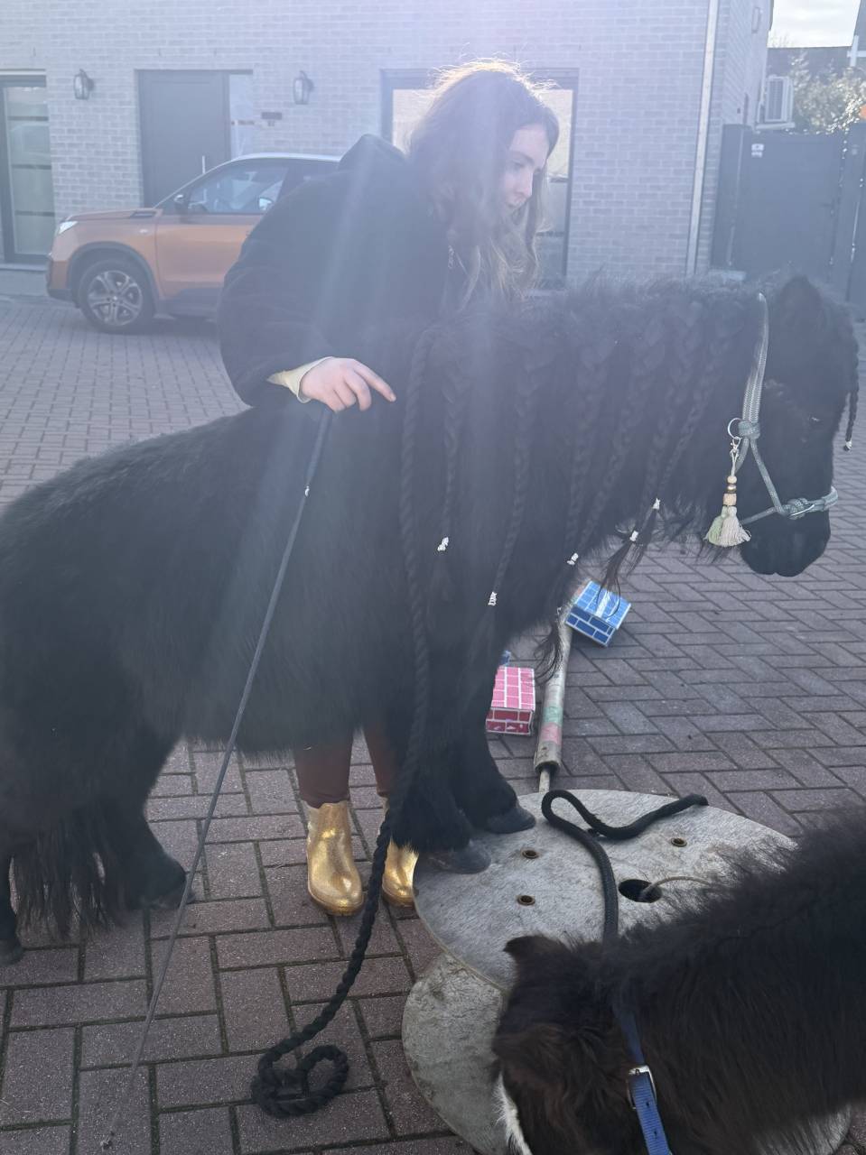 Shetland noir 6ans 85cm