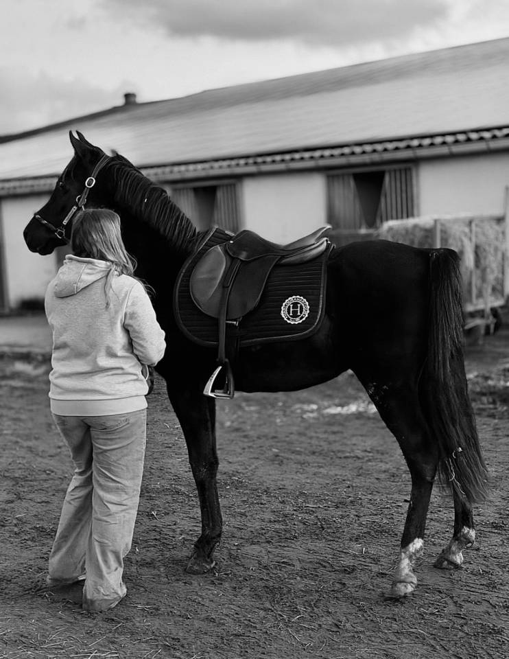 Poney &agrave; vendre