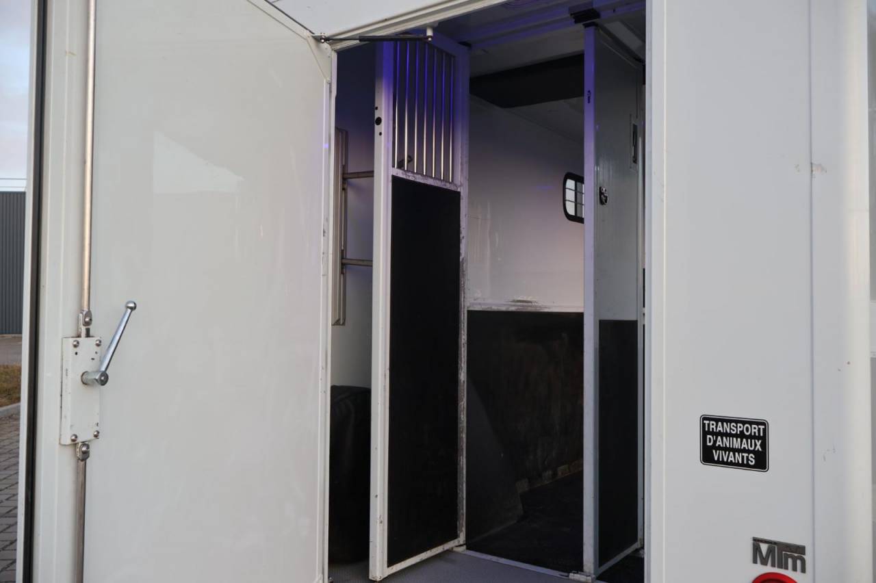 VL MTM FILOVAN MASTER STALLE 165CH 5 PLACES 