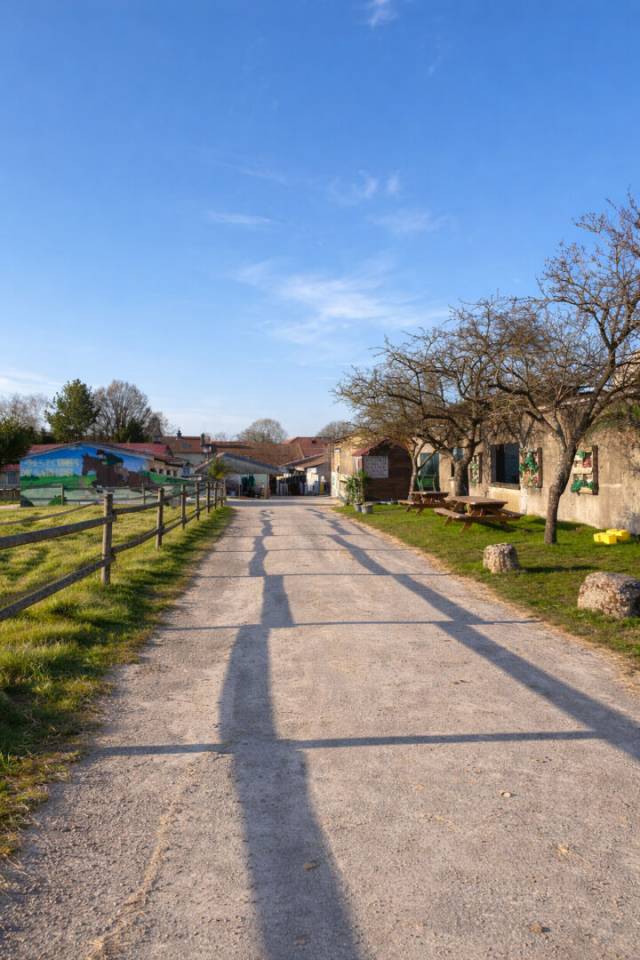 Propri&eacute;t&eacute; &eacute;questre avec habitations Clefs en main, Praye (54116)