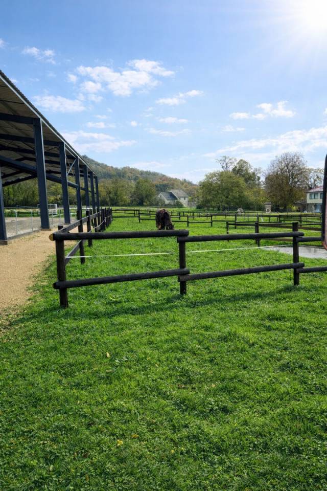 Propri&eacute;t&eacute; &eacute;questre avec habitations Clefs en main, Praye (54116)