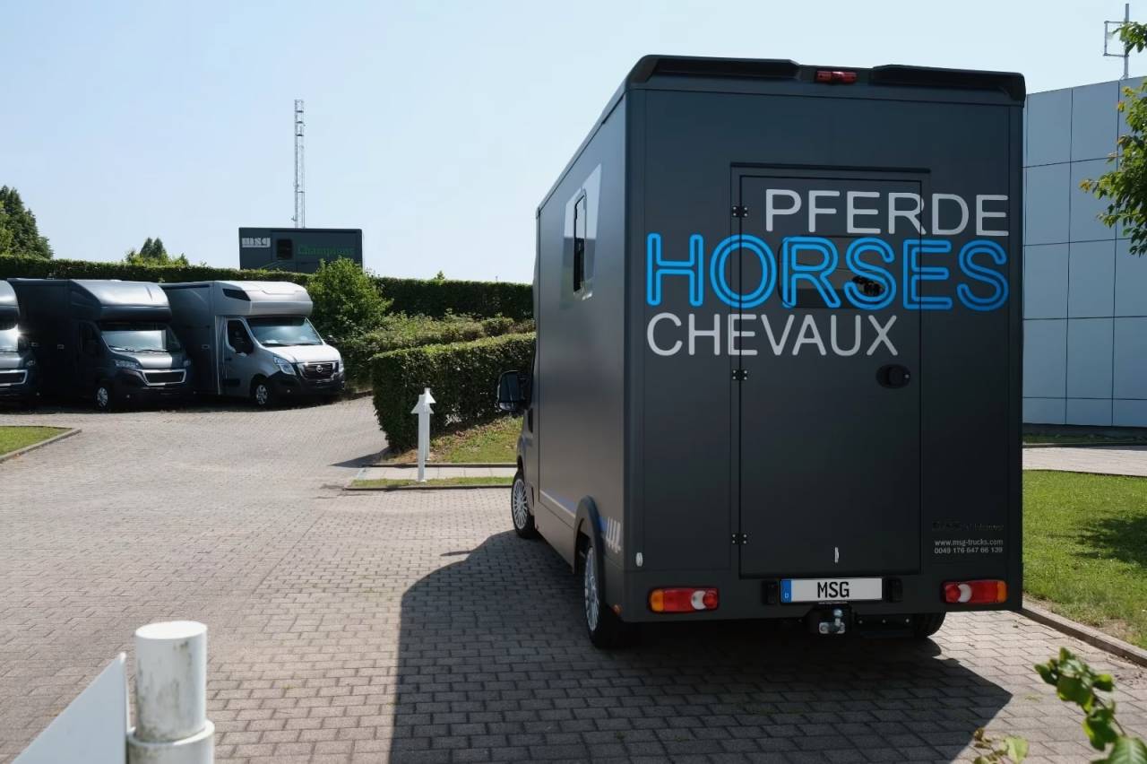 PEUGEOT BOXER 165 MSG STALLION LIGHT NOUVEAU MODELE