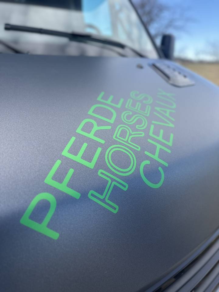 IVECO DAILY 35-210 HI-MATIC MSG STALLION LIGHT