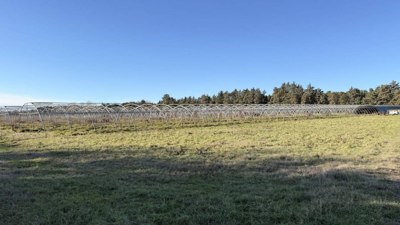 Alpilles - Domaine 6,6 hectares avec deux logements