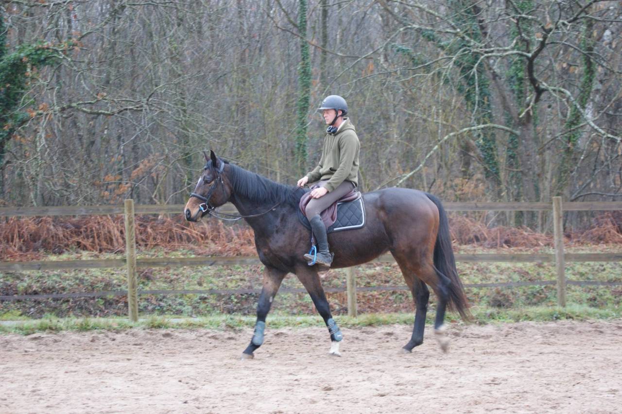 Top Cheval Amateur CCE