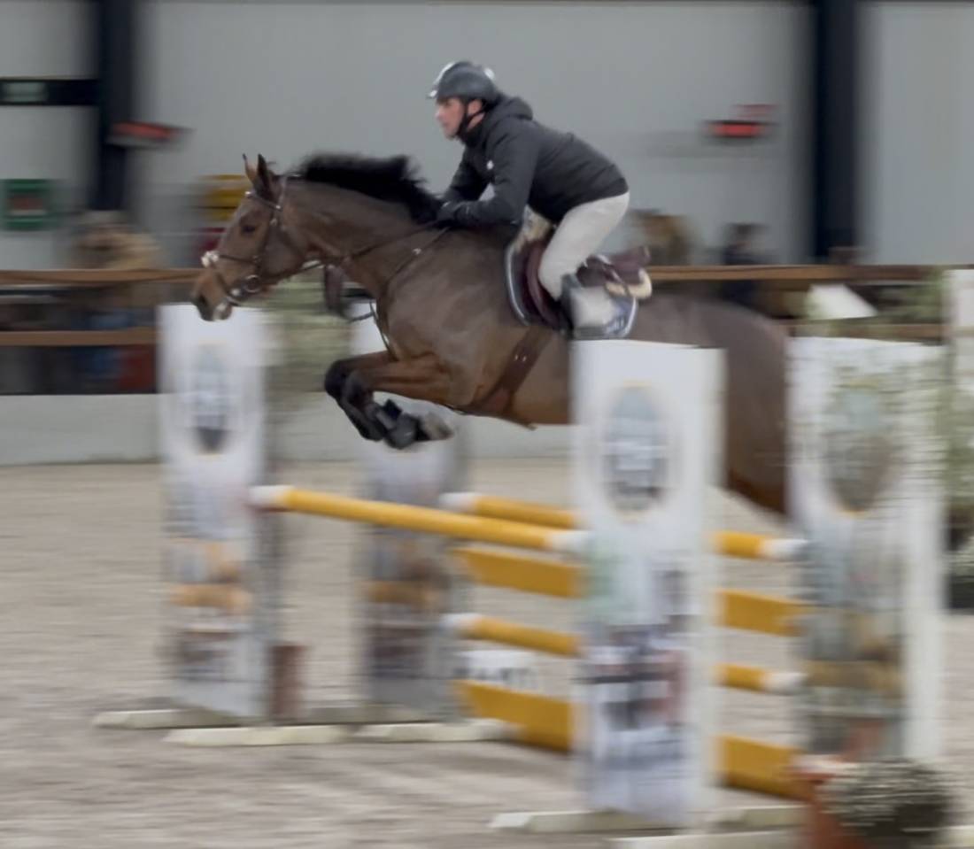 Jument de 6 ans en direct de l&rsquo;&eacute;leveur 
