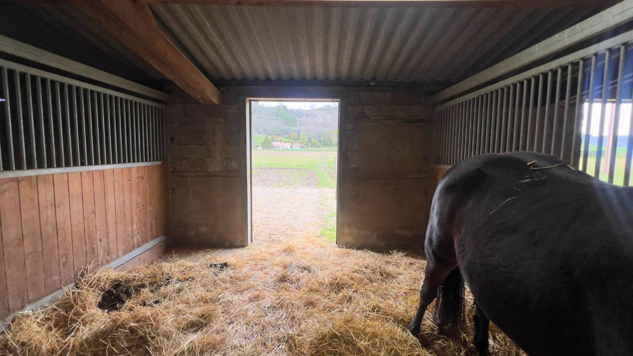 Tarn-et-Garonne Propri&eacute;t&eacute; &eacute;questre de 3,2 hectares (82)