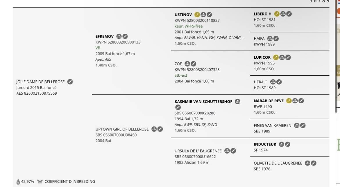 Jument id&eacute;al pour l&rsquo;&eacute;levage!