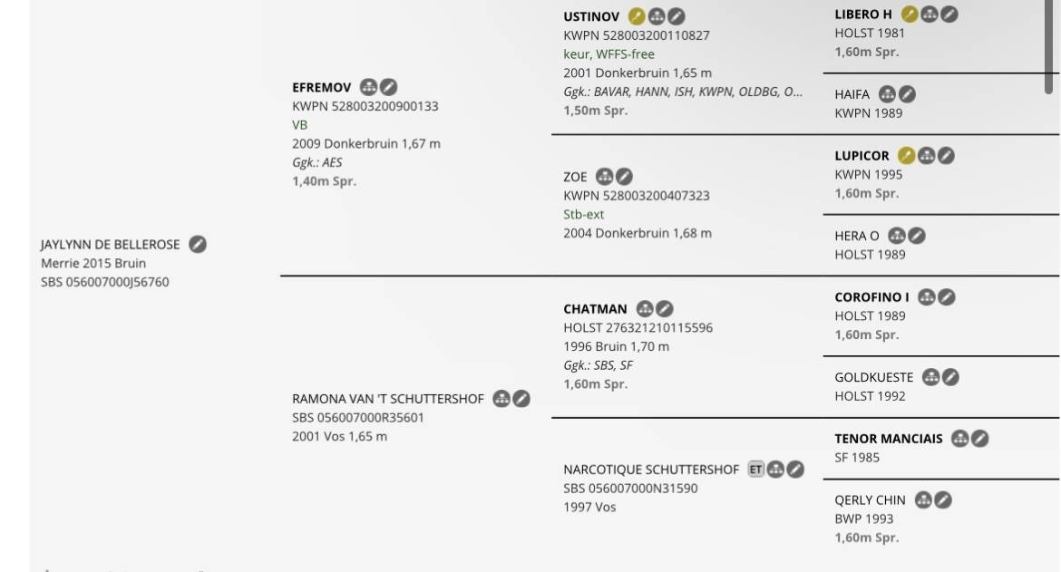 Jument id&eacute;ale pour l&rsquo;&eacute;levage 