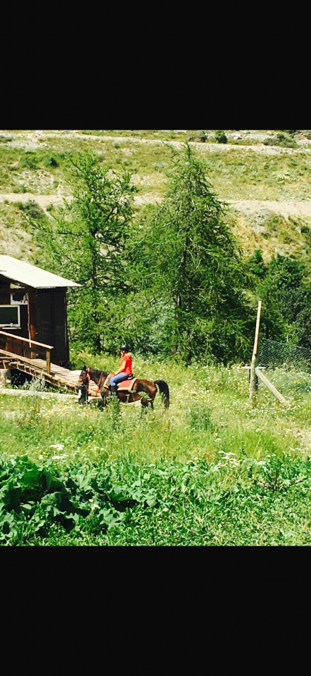 Demande de poste : Cavali&egrave;re Soigneuse confirm&eacute;e en ext