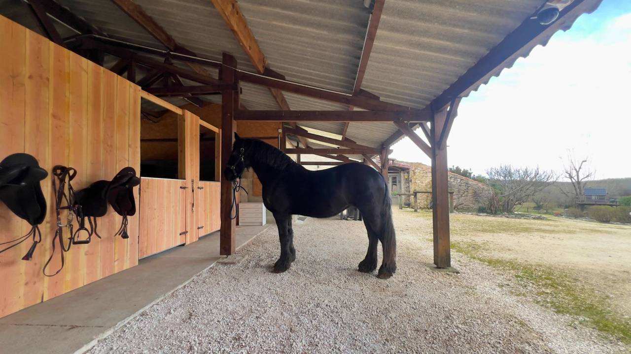Propri&eacute;t&eacute; &eacute;questre de charme &agrave; proximit&eacute; de Villeneuve 