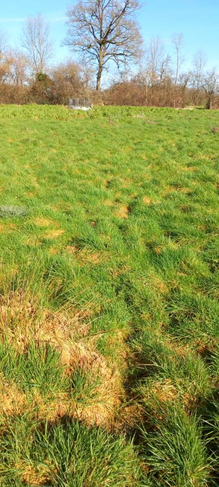 Propri&eacute;t&eacute; id&eacute;ale famille de cavaliers - 3,5 ha