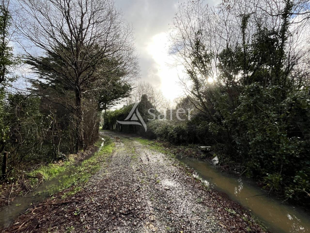 Maison en ruine avec bois et friches