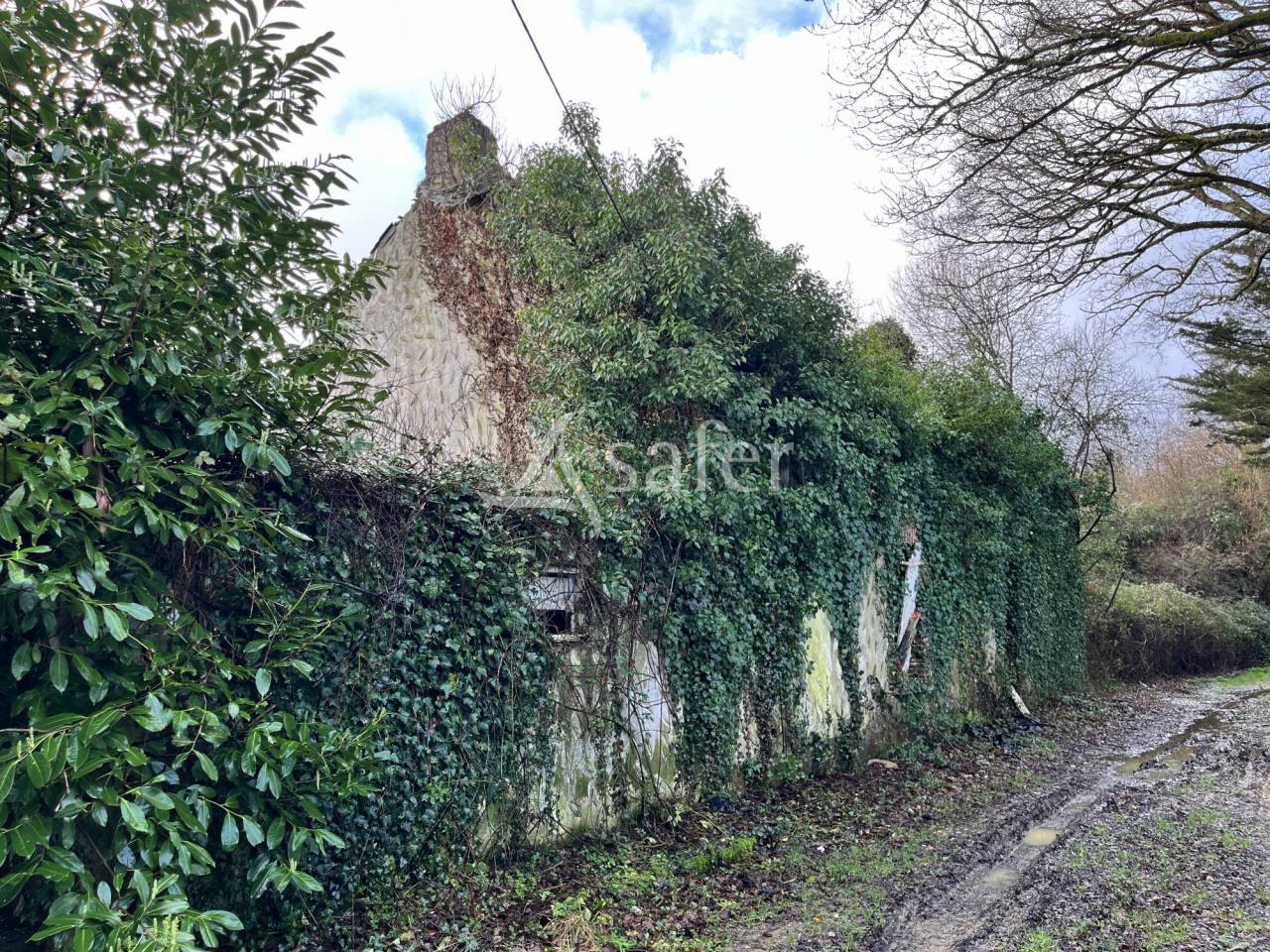 Maison en ruine avec bois et friches