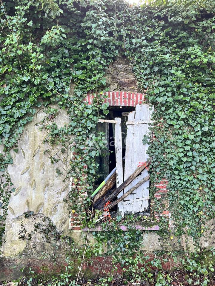 Maison en ruine avec bois et friches