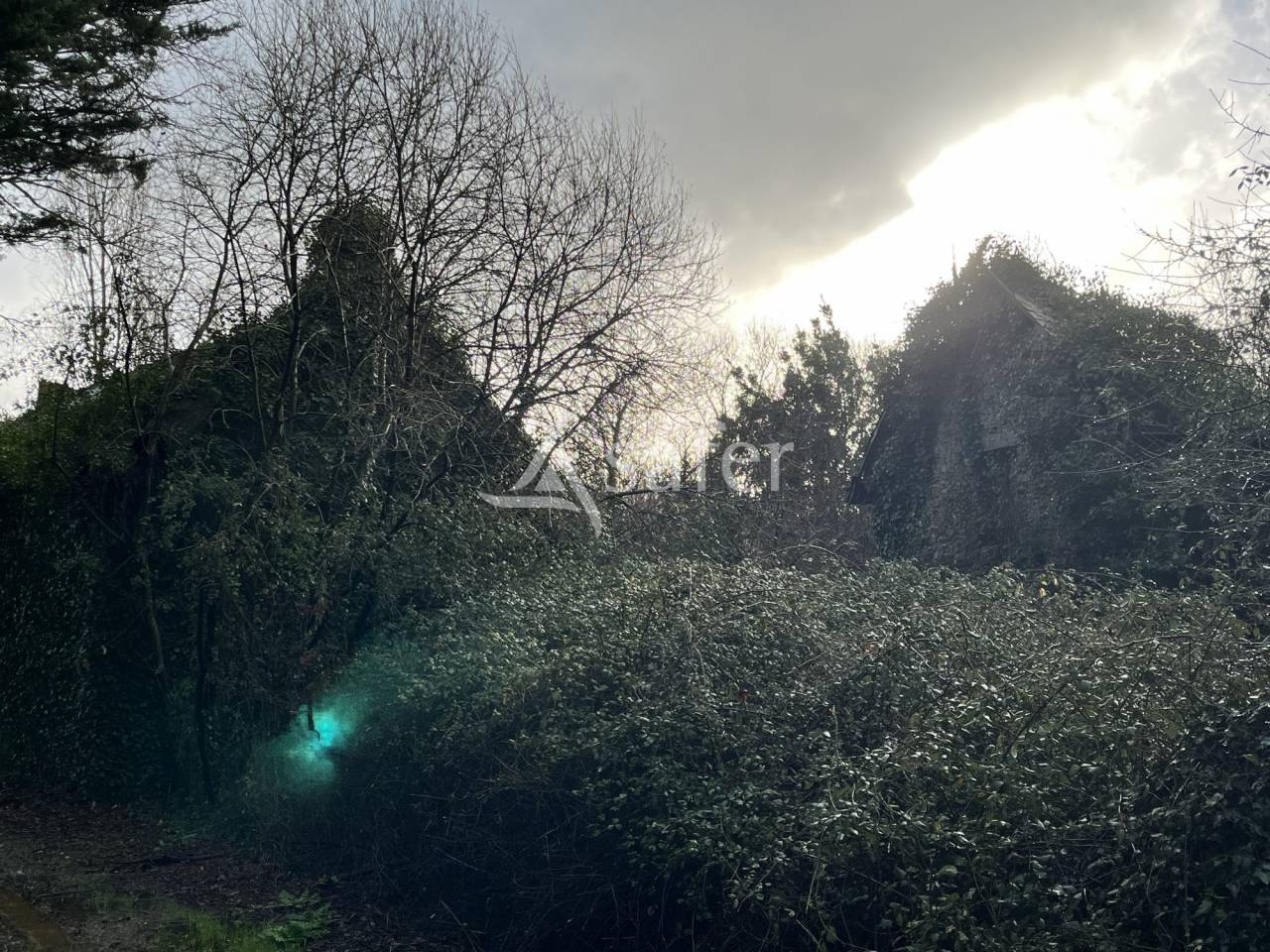 Maison en ruine avec bois et friches