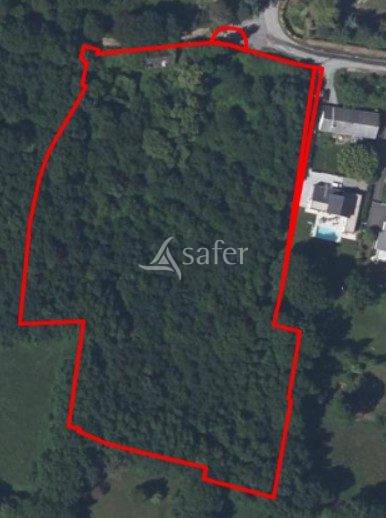 Maison en ruine avec bois et friches