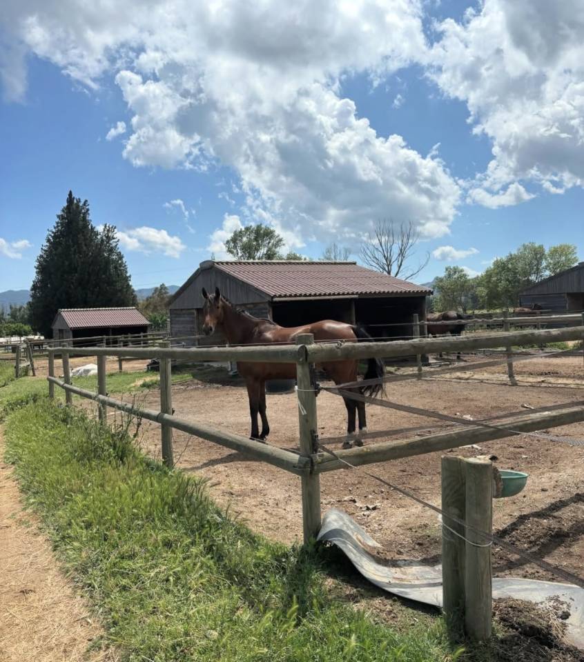VEND FONDS DE COMMERCE CENTRE EQUESTRE LES MURETTES VAR