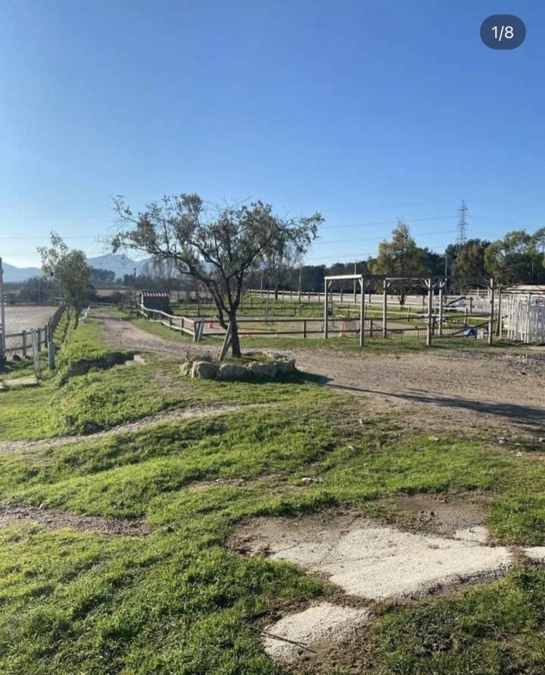 VEND FONDS DE COMMERCE CENTRE EQUESTRE LES MURETTES VAR