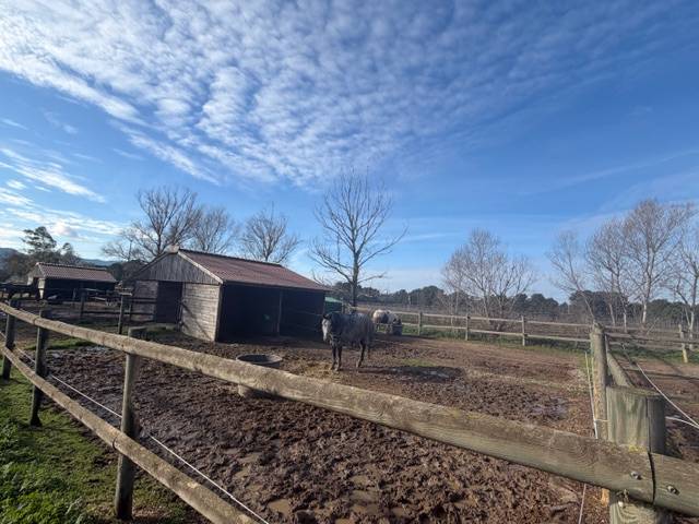 VEND FONDS DE COMMERCE CENTRE EQUESTRE LES MURETTES VAR
