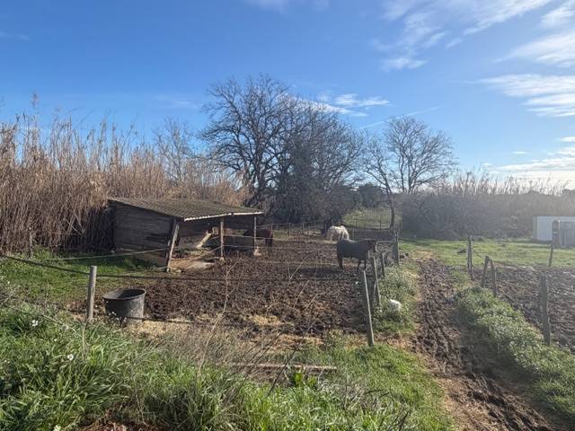 VEND FONDS DE COMMERCE CENTRE EQUESTRE LES MURETTES VAR