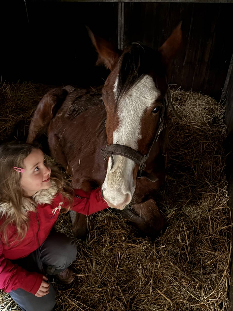 Opium du petit Geer z