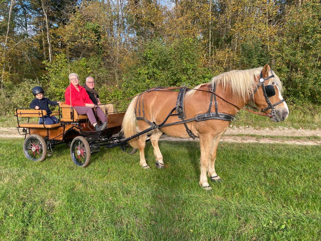 Cal&egrave;che loisir &eacute;tat neuf
