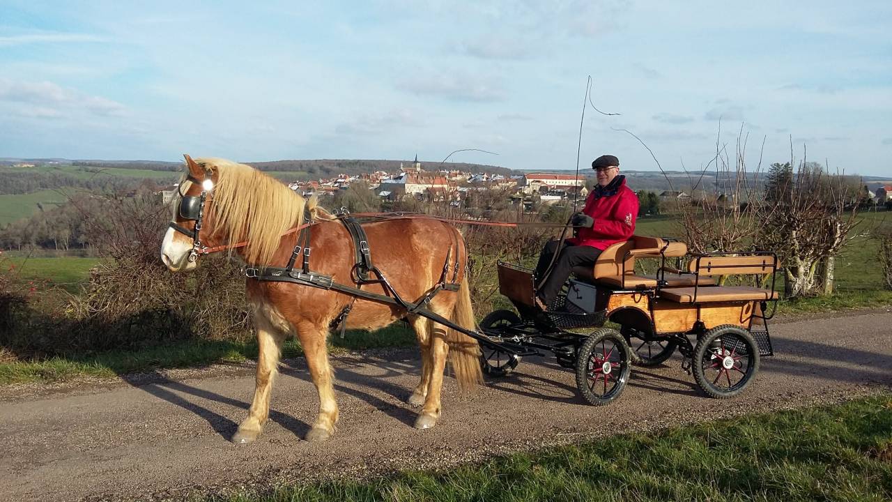 Cal&egrave;che loisir &eacute;tat neuf