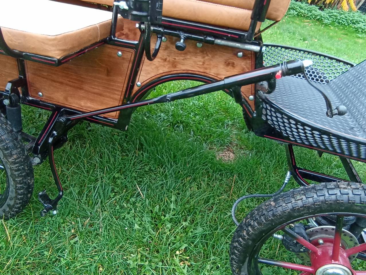 Cal&egrave;che loisir &eacute;tat neuf