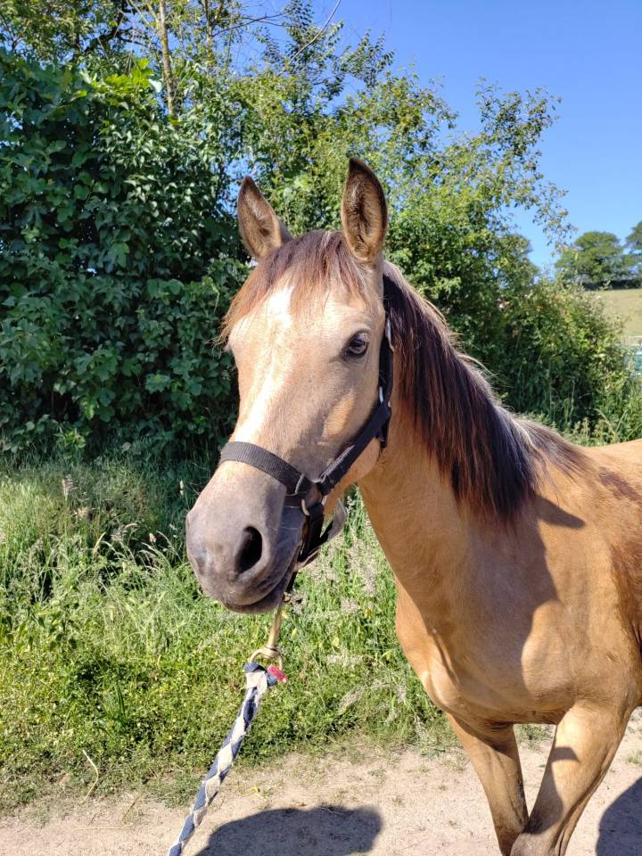 M&eacute;t&eacute;o d'Arquetan