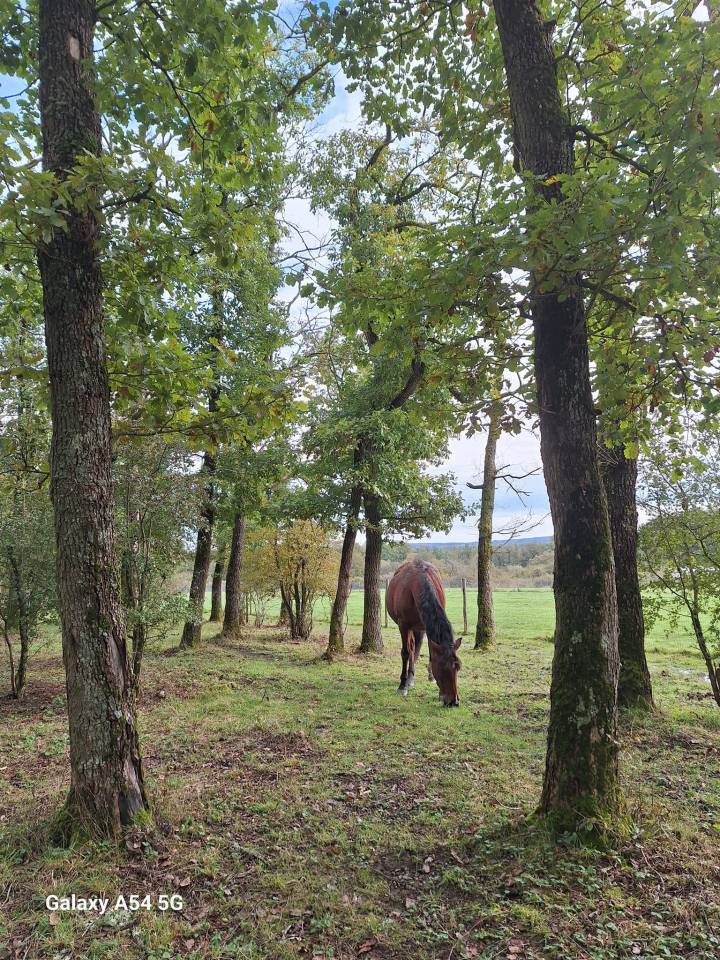 Pension prairie Durbuy 