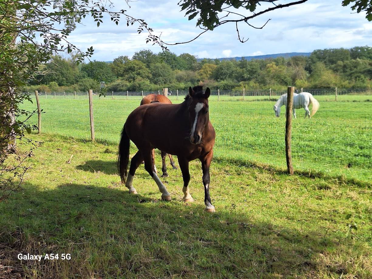 Pension prairie Durbuy 