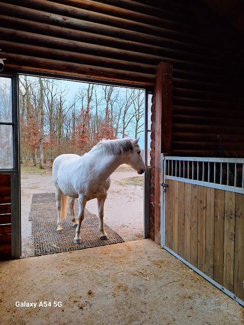 Pension prairie Durbuy 