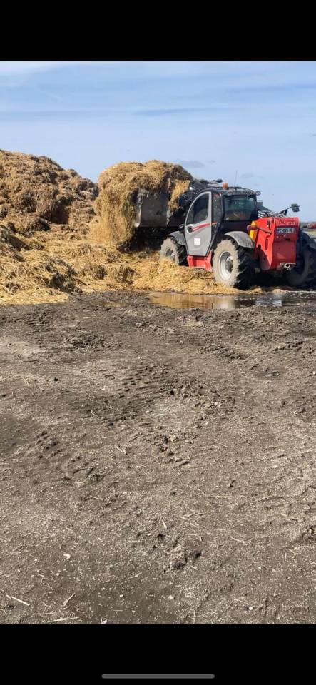 Palefrenier 37 ans cherche poste log&eacute; (dispo de suite)