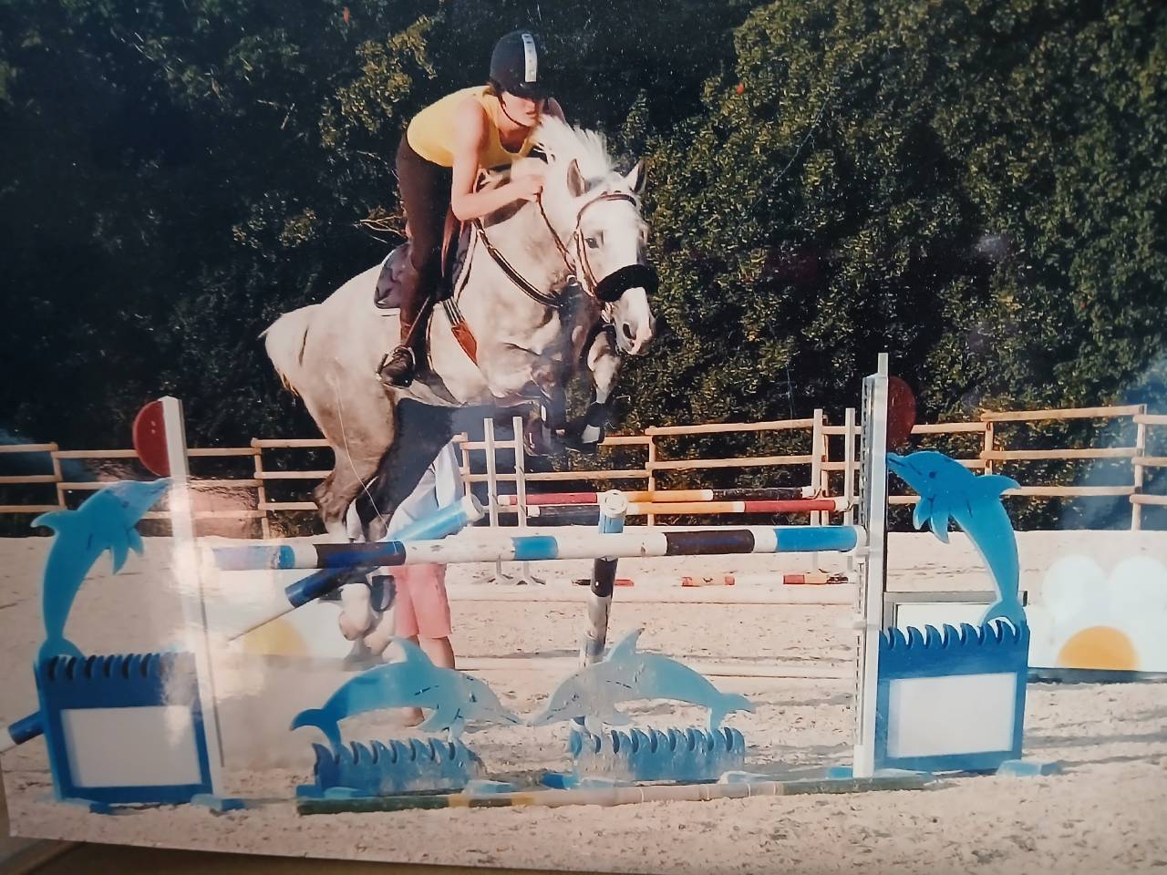 Pouliniere excellentes origines