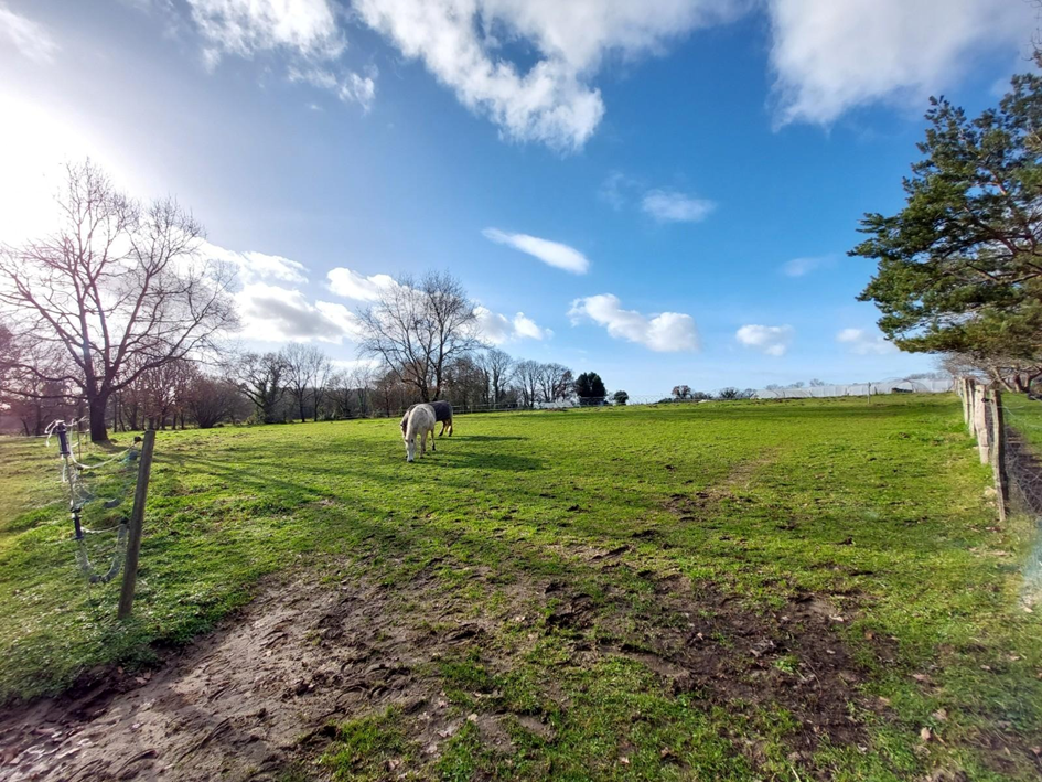 VIVEZ AU RYTHME DE VOS CHEVAUX AUX PORTES DE ROCHEFORT