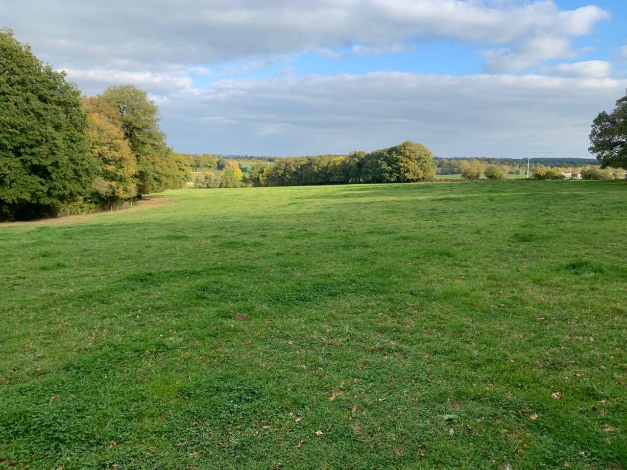 PROPRIETE RURALE ET AGRCOLE