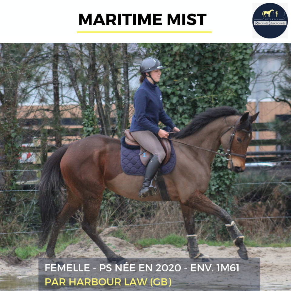 MARITIME MIST - PS - 6 ANS