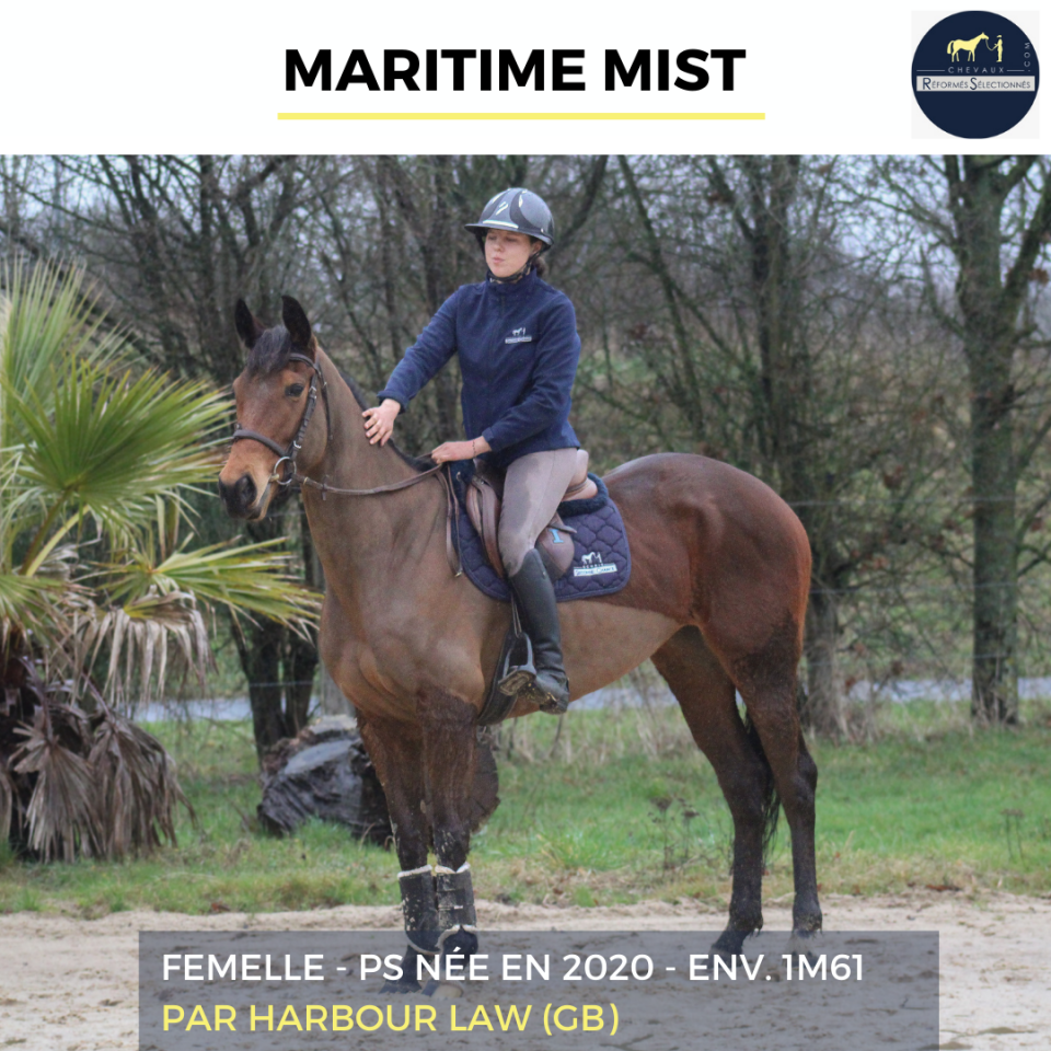 MARITIME MIST - PS - 6 ANS