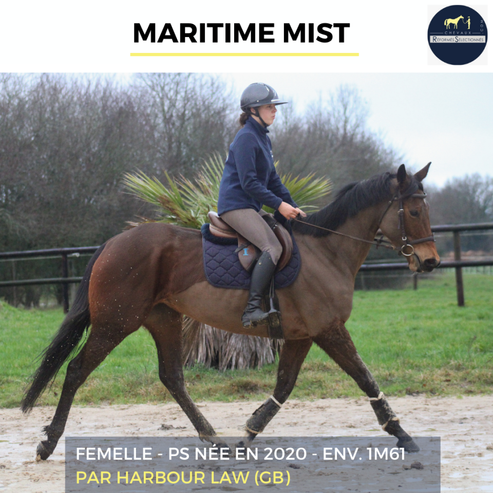 MARITIME MIST - PS - 6 ANS