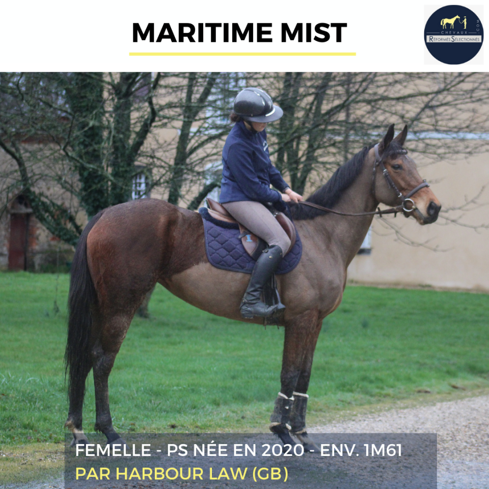 MARITIME MIST - PS - 6 ANS