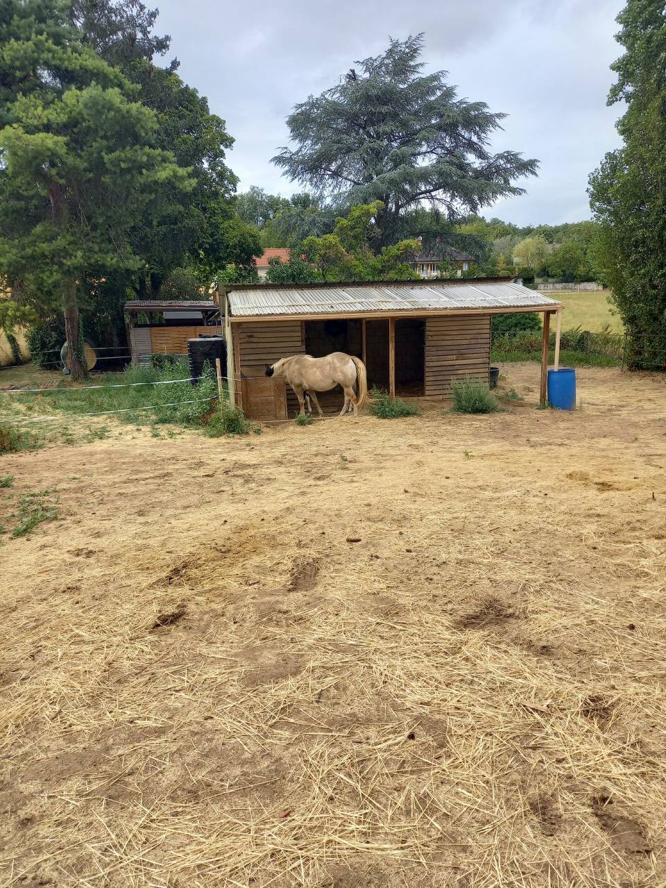 LOCATION PATURE POUR 2 CHEVAUX - ESSONNE 91